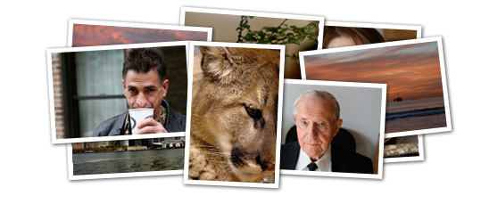 Photography Header